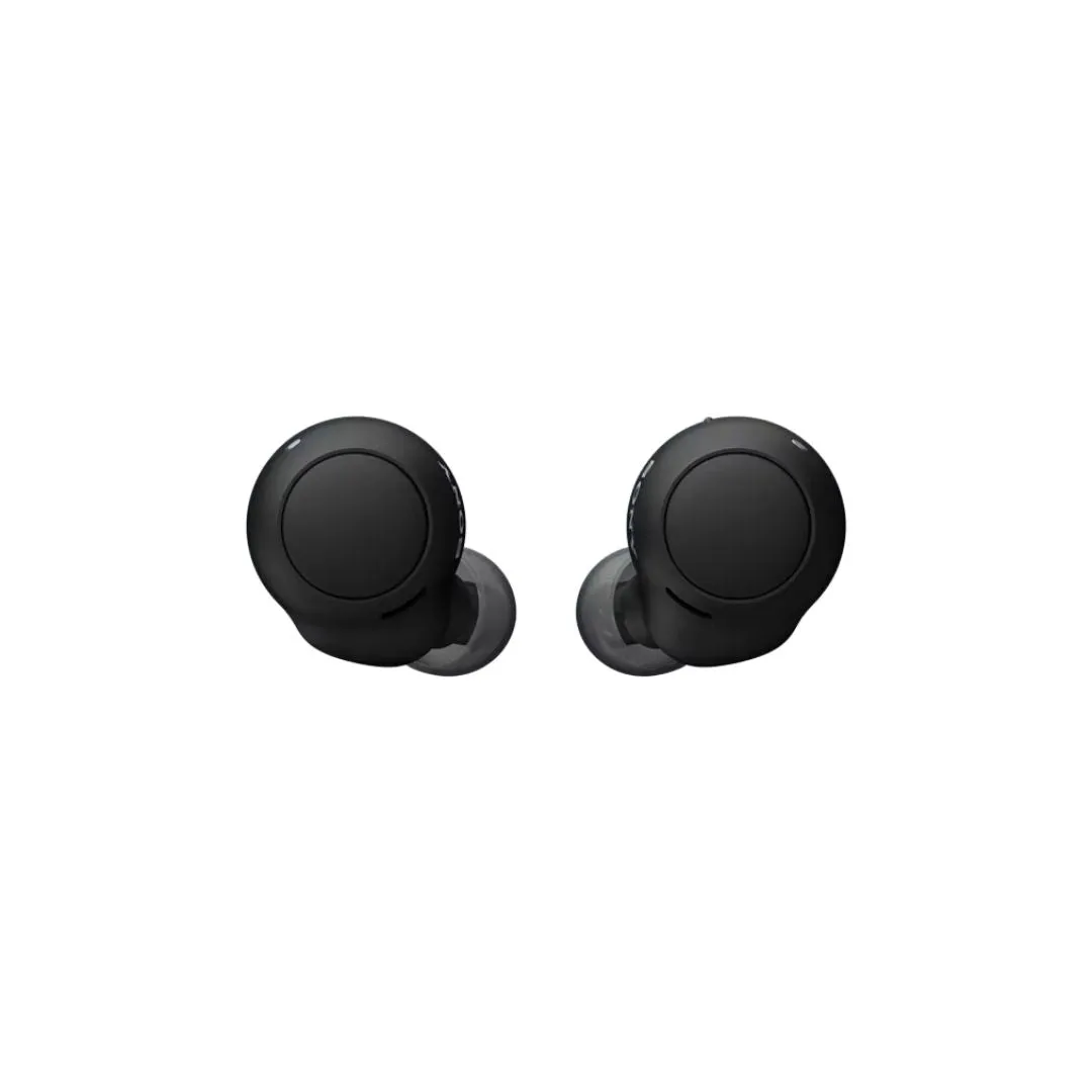 WF-C500 Truly Wireless In-Ear Bluetooth